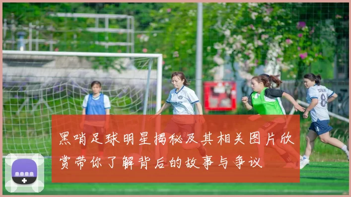 黑哨足球明星揭秘及其相关图片欣赏带你了解背后的故事与争议