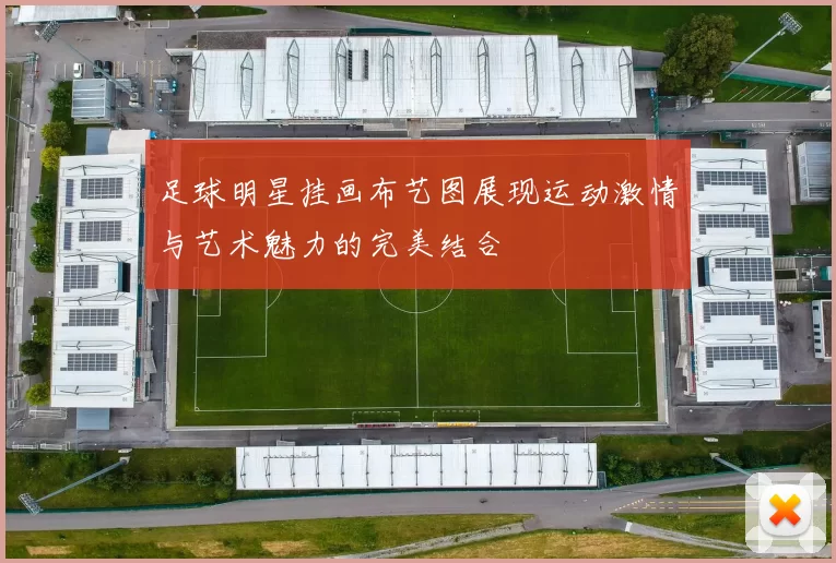 足球明星挂画布艺图展现运动激情与艺术魅力的完美结合
