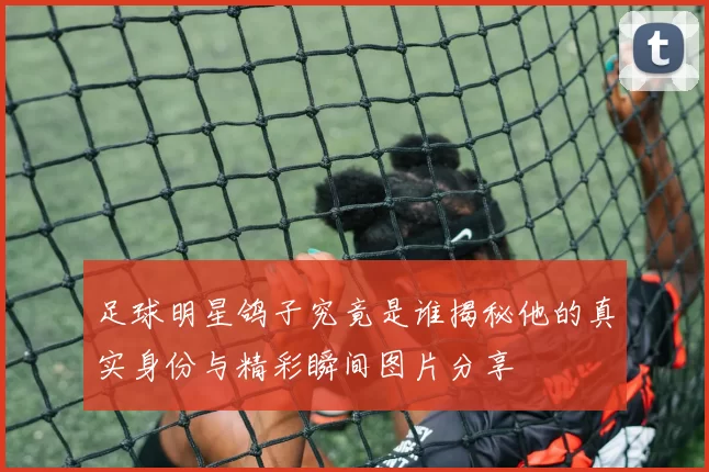 足球明星鸽子究竟是谁揭秘他的真实身份与精彩瞬间图片分享