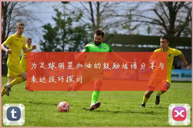 为足球明星加油的鼓励话语分享与表达技巧探讨