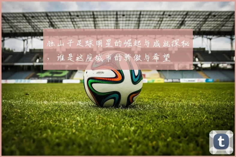 独山子足球明星的崛起与成就探秘，谁是这座城市的骄傲与希望