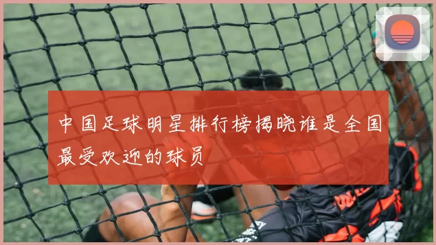 中国足球明星排行榜揭晓谁是全国最受欢迎的球员