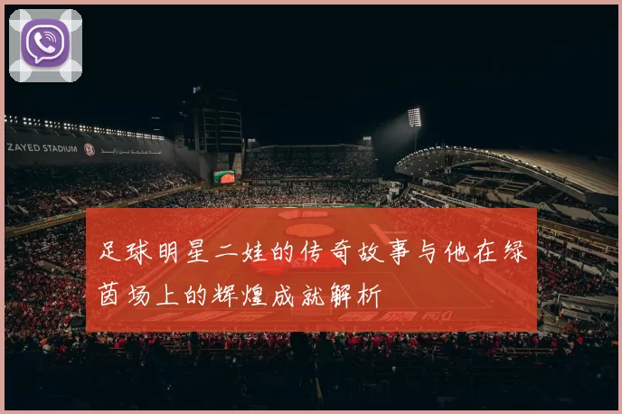 足球明星二娃的传奇故事与他在绿茵场上的辉煌成就解析