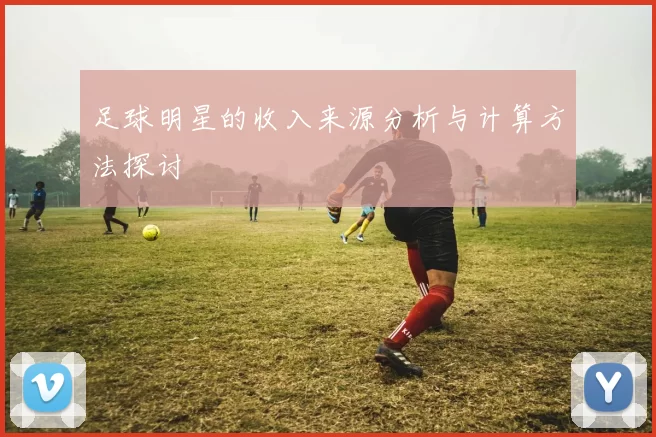 足球明星的收入来源分析与计算方法探讨