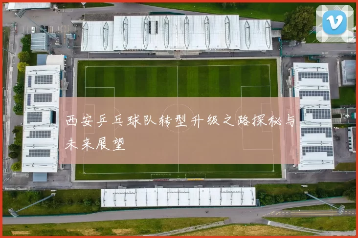 西安乒乓球队转型升级之路探秘与未来展望