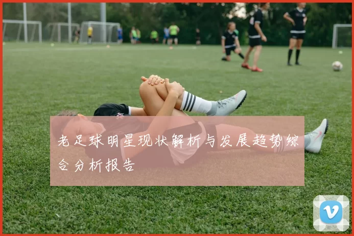 老足球明星现状解析与发展趋势综合分析报告