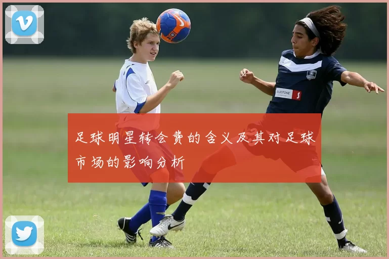 足球明星转会费的含义及其对足球市场的影响分析